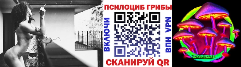 Галлюциногенные грибы Cubensis  Купить  Ступино 