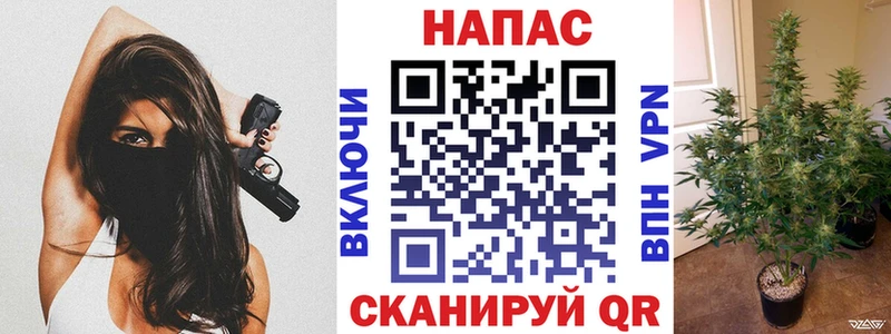 Купить закладки  Ступино  Бошки Шишки гибрид 